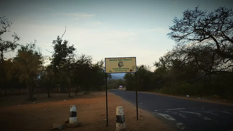 Sariska Tiger Reserve, Alwar