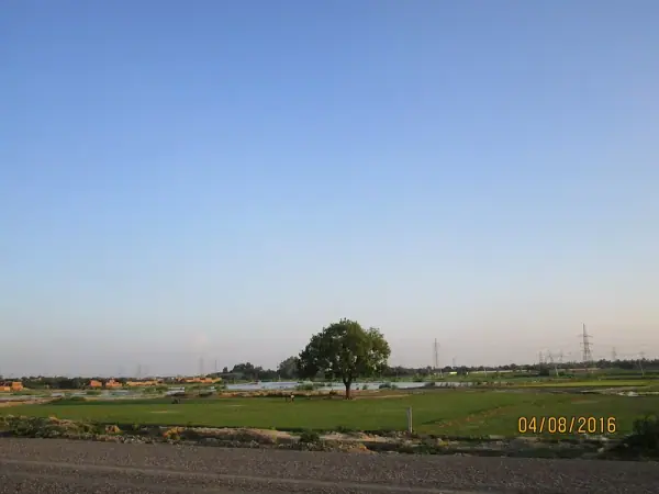 Pata Water Reservoir near Phaphund, Auraiya