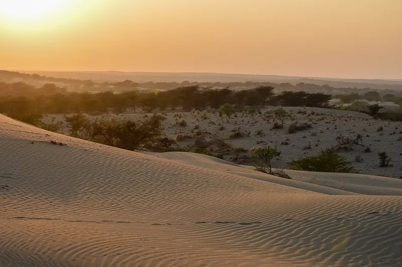 Sams Sand Dunes, Barmer