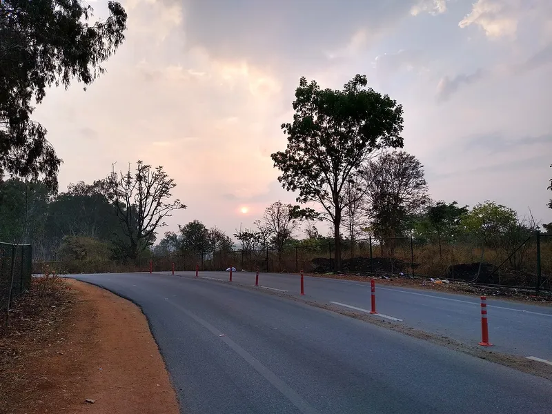 Turahalli Forest, Bengaluru South