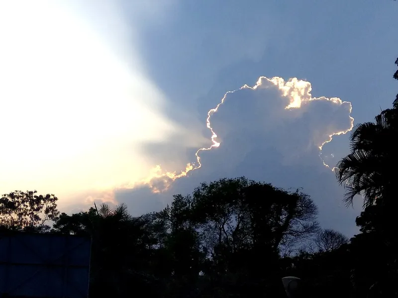 Lalbagh Botanical Garden, Bengaluru Urban