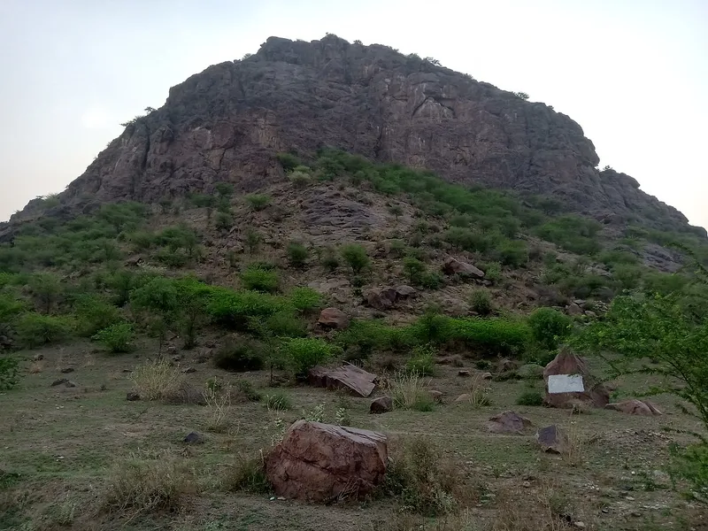 Tosham Hills, Bhiwani