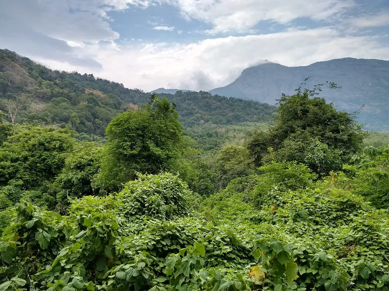 Kovai Kutralam Falls, Coimbatore