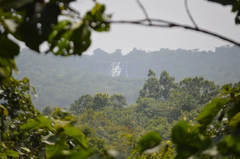 Kanger Valley National Park, Dantewada