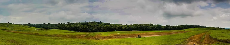Mawphlang Sacred Grove, East Khasi Hills