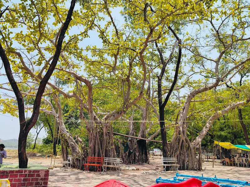 Navegaon National Park, Gondia