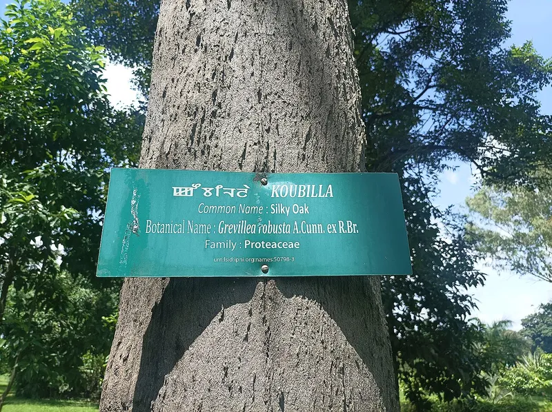 Kangla Palace, Imphal West
