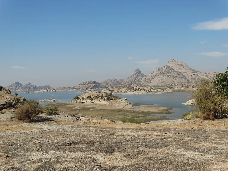 Jawai Dam, Jalore