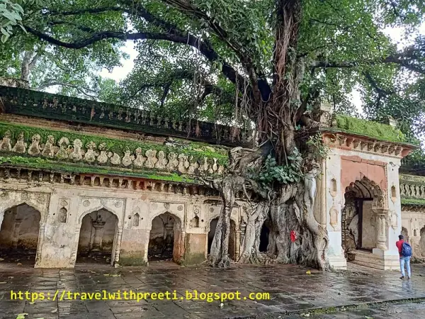 Vijayraghavgarh Fort, Katni, Katni