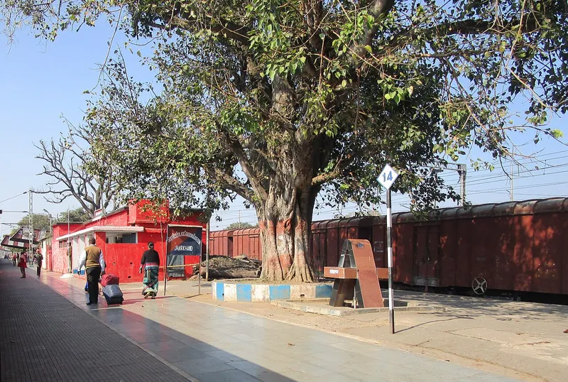 Koderma Railway Station, Koderma