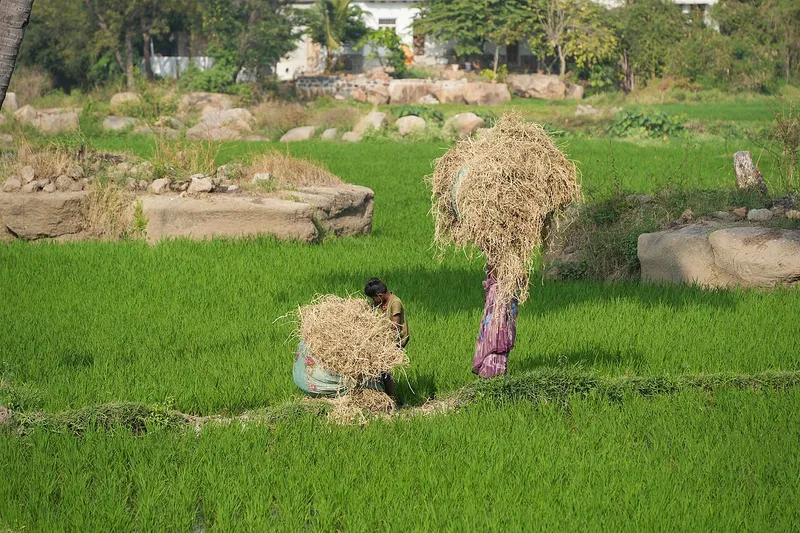 Anegundi Village, Koppal
