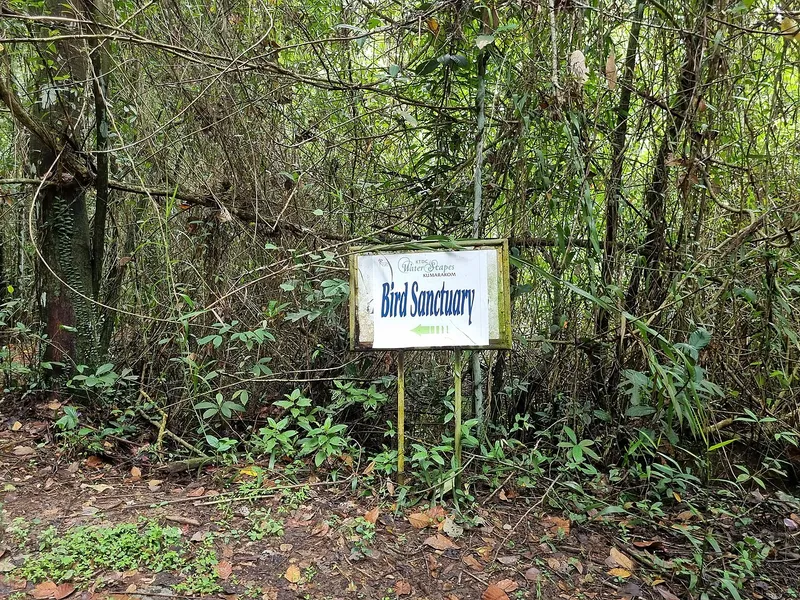 Kumarakom Bird Sanctuary, Kottayam