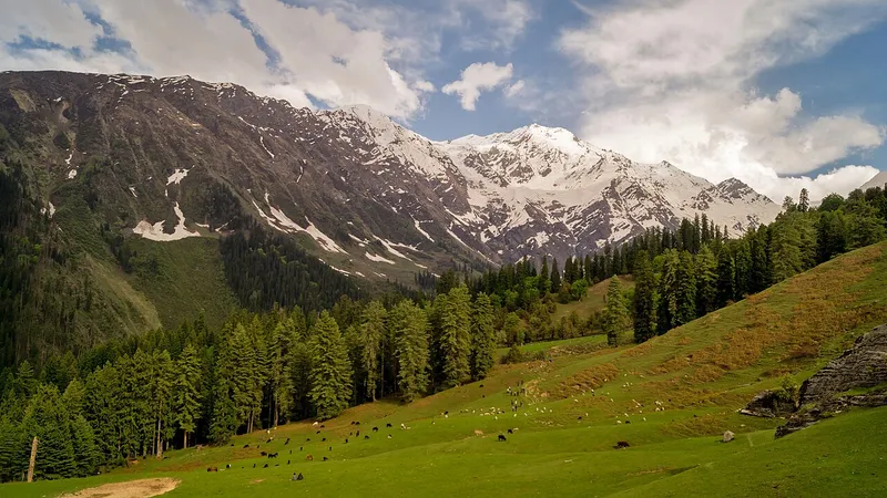Great Himalayan National Park, Kullu