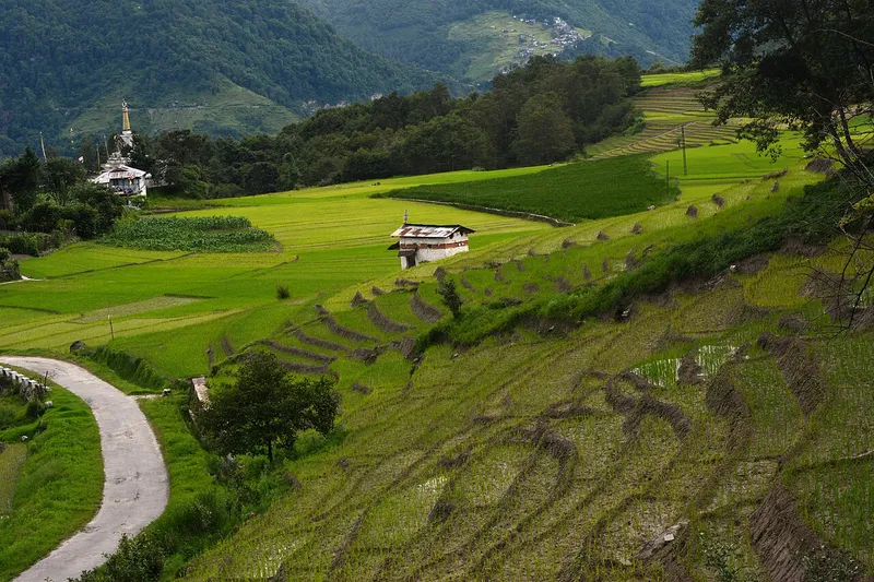 Ziro Valley, Kurung Kumey