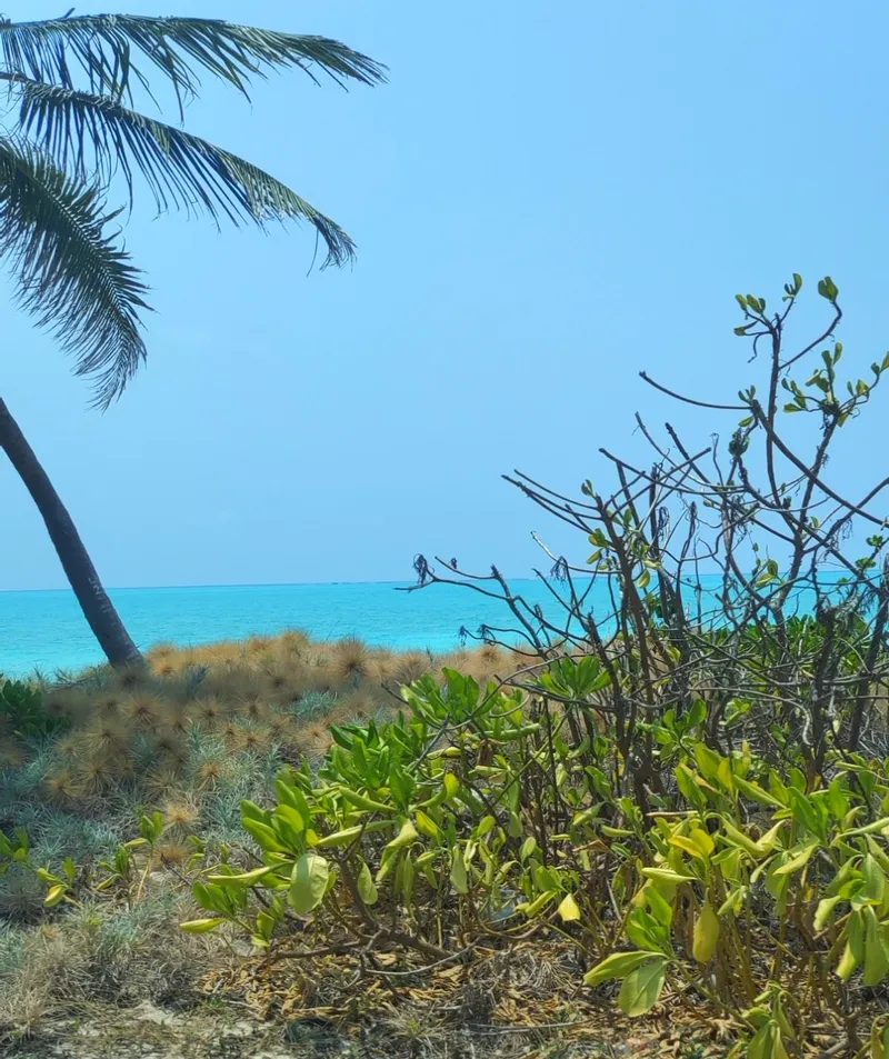Kadmat Island, Lakshadweep