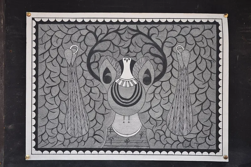 Madhubani Museum, Madhubani