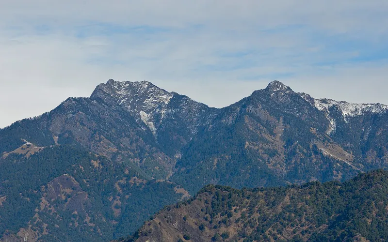 Nargu Wildlife Sanctuary, Mandi