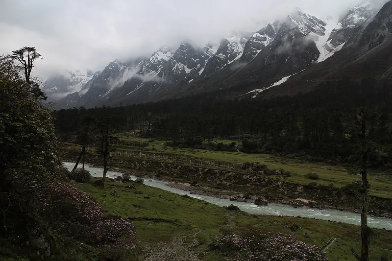 Yumthang Valley, Mangan
