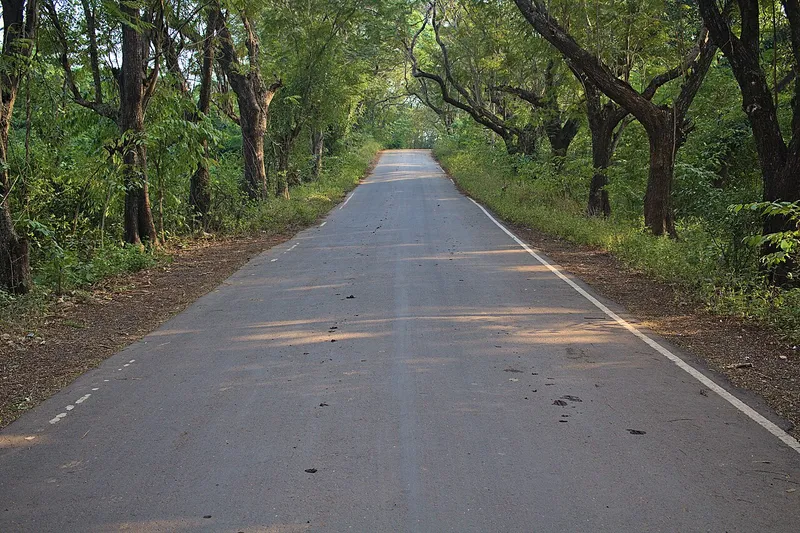 Aarey Forest, Mumbai Suburban