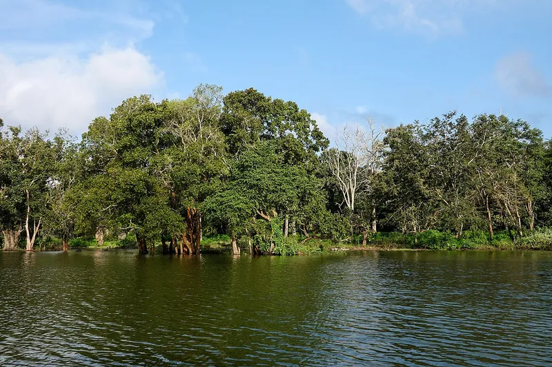 Nagarhole National Park, Mysuru