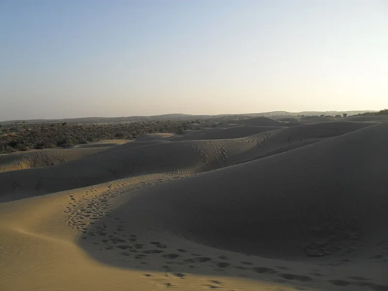 Desert National Park, Phalodi