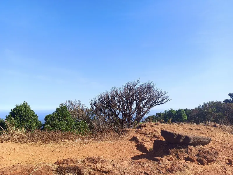 Kodachadri, Shivamogga