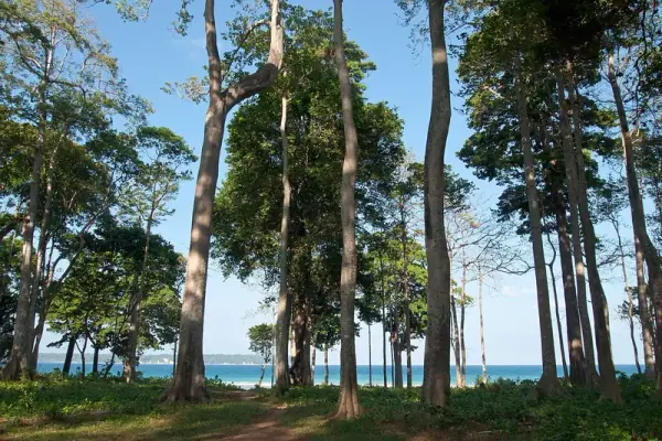Neil Island, South Andaman