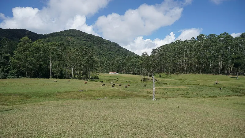 Manjolai Hills, Tirunelveli