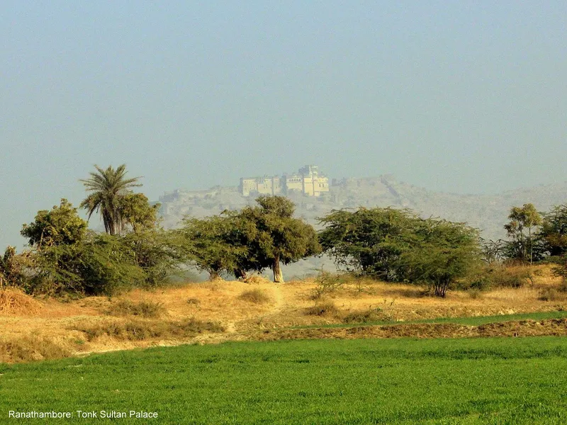 Tonk Sultan Palace (Fort), Tonk
