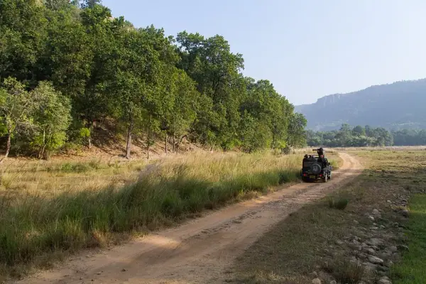 Grasslands of Bandhavgarh National Park, Umaria