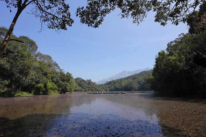 Pookode Lake, Wayanad
