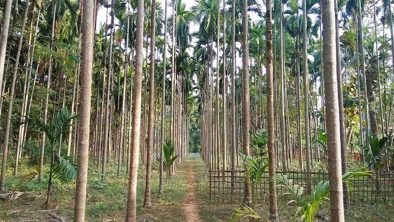 Baithalangso, West Karbi Anglong