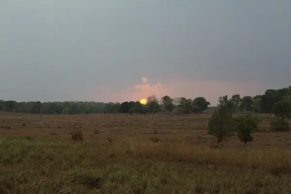 Kanha National Park sunset, Mandla