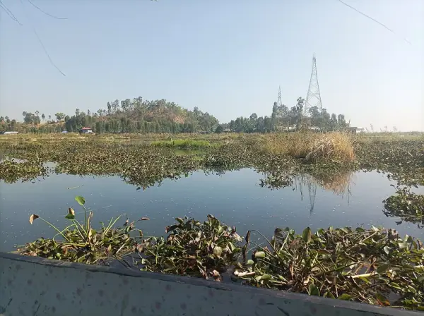 Loktak Lake, Moirang