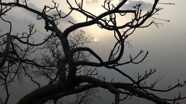 Mount Abu sunset, Mount Abu