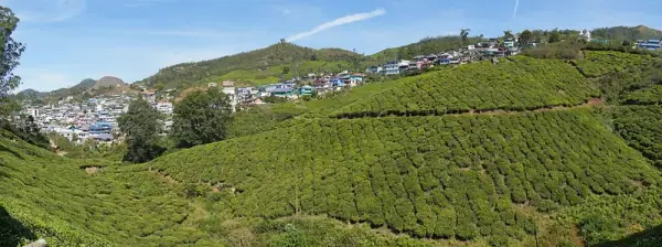 Munnar, Munnar